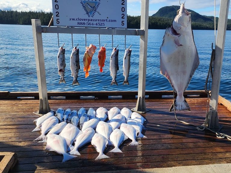 A day of halibut, salmon, and rockfish at the Clover Pass dock in Ketchikan