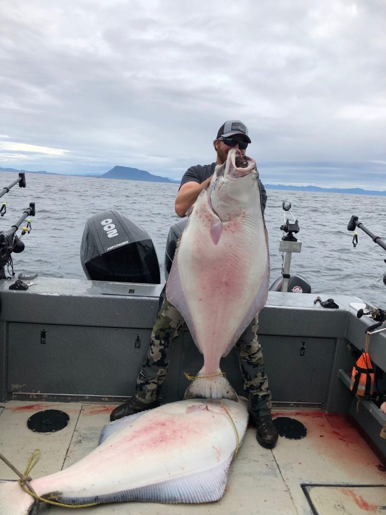 Two very large halibut on the deck